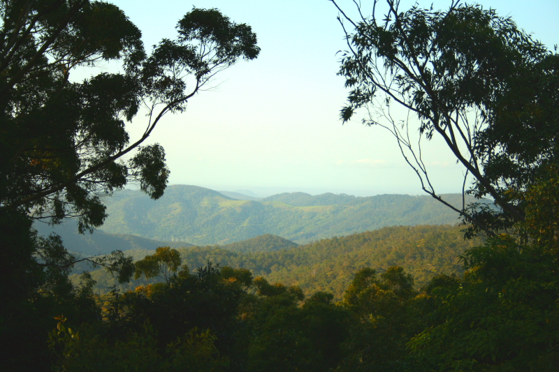 ENDLESS POSSIBILITIES! Picture 2