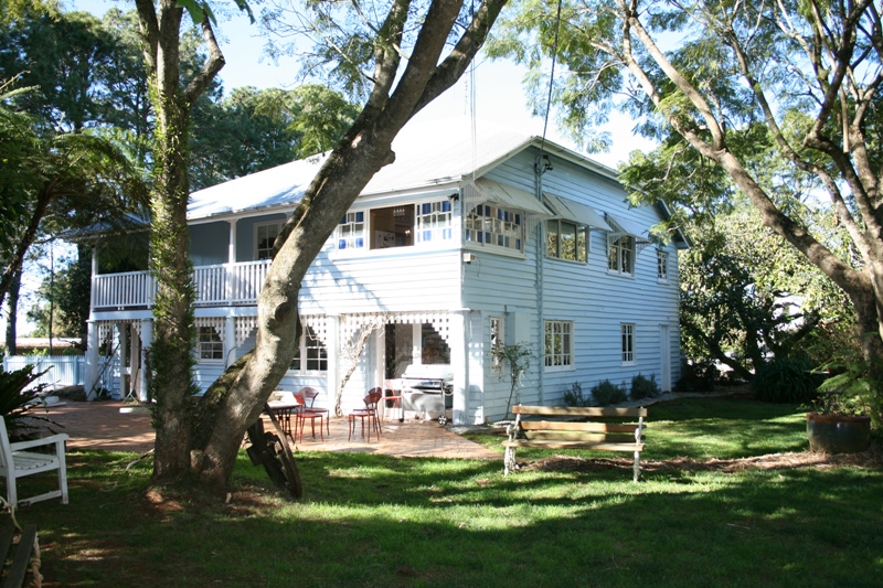 A TAMBORINE MOUNTAIN ORIGINAL Picture 1