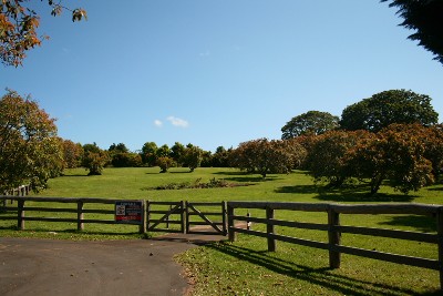 5 ACRES....THE PERFECT PACKAGE! Picture