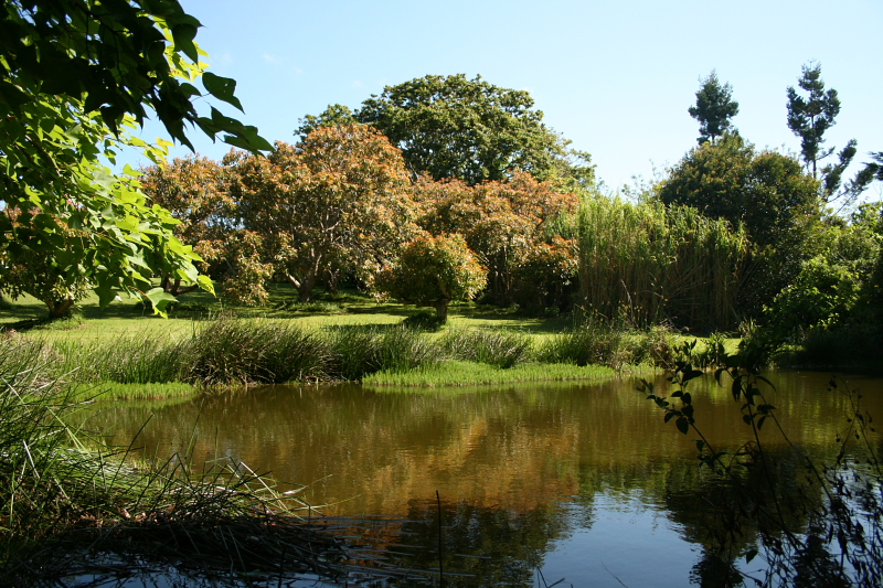 5 ACRES....THE PERFECT PACKAGE! Picture 2