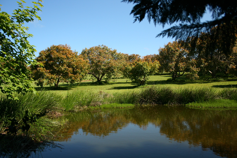 5 ACRES....THE PERFECT PACKAGE! Picture 3