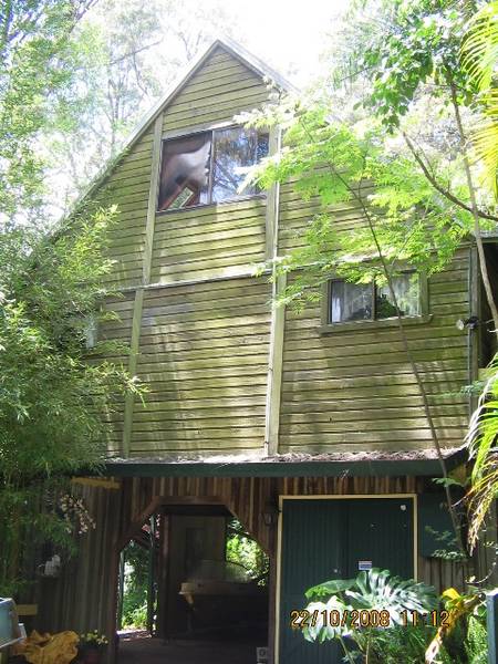 Tranquil Rainforest Setting Picture 2