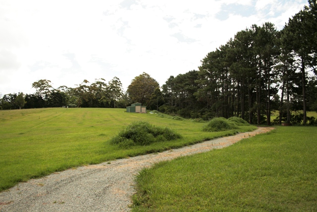 The Good Life! Picture 3