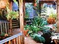 Tamborine Mountain Bed & Breakfast Picture