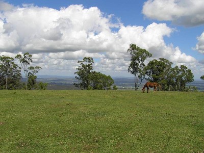 Welcome to Mingara Estate on Tamborine Mountain-Developer Wants Them Sold And Has Reduced His Prices! Picture