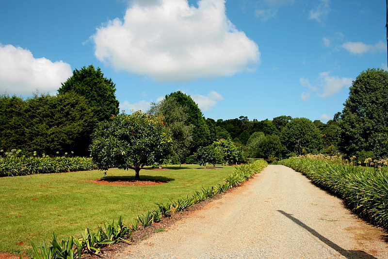 SOMETHING FOR EVERYONE IN THE FAMILY. Picture 3