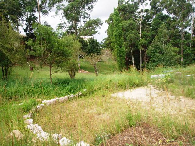 Build Your Dream Picture 3