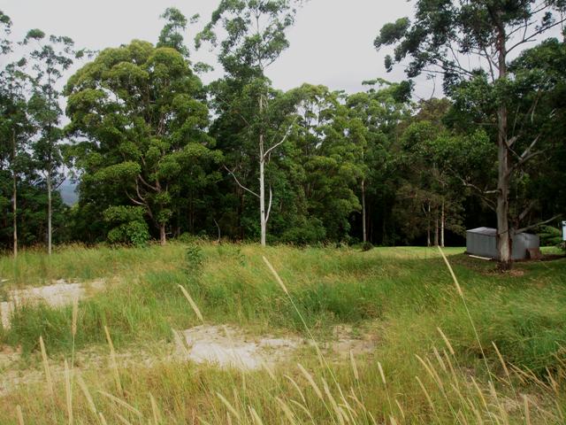 Build Your Dream Picture 1