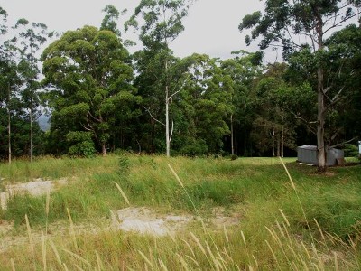 Build Your Dream Picture Build Your Dream Picture