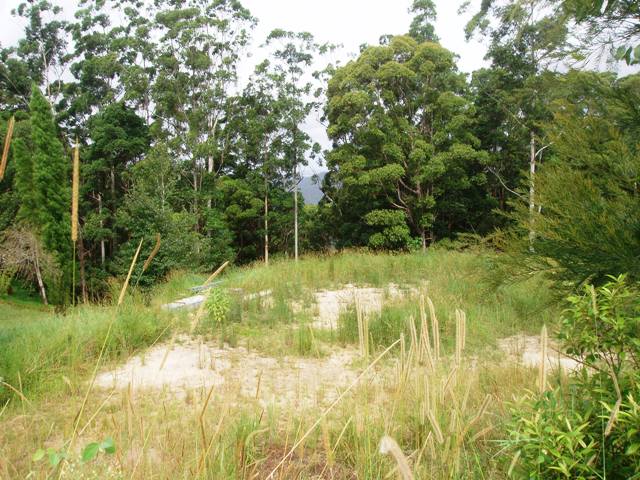 Build Your Dream Picture 2