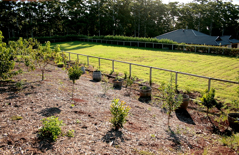 Queenslander Home On 2.5 Acres Ready For The Kids Picture 3