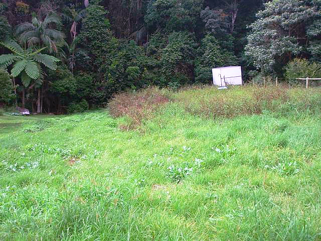 GREEN ON GREEN Picture 3