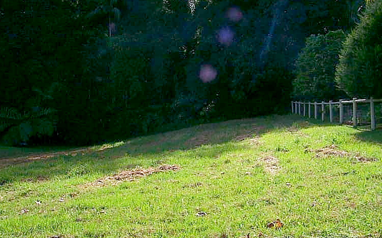 GREEN ON GREEN Picture 1