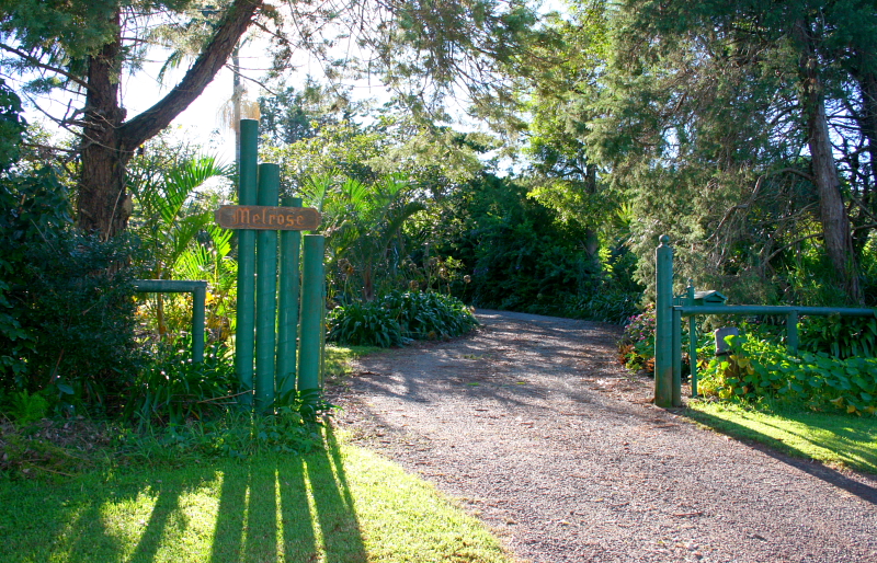 Secluded Behind The Avocado's Picture 1