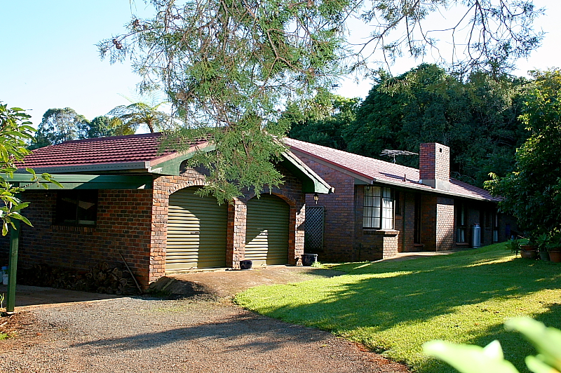 Secluded Behind The Avocado's Picture 3