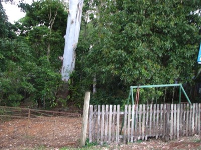 North Street Block Picture North Street Block Picture