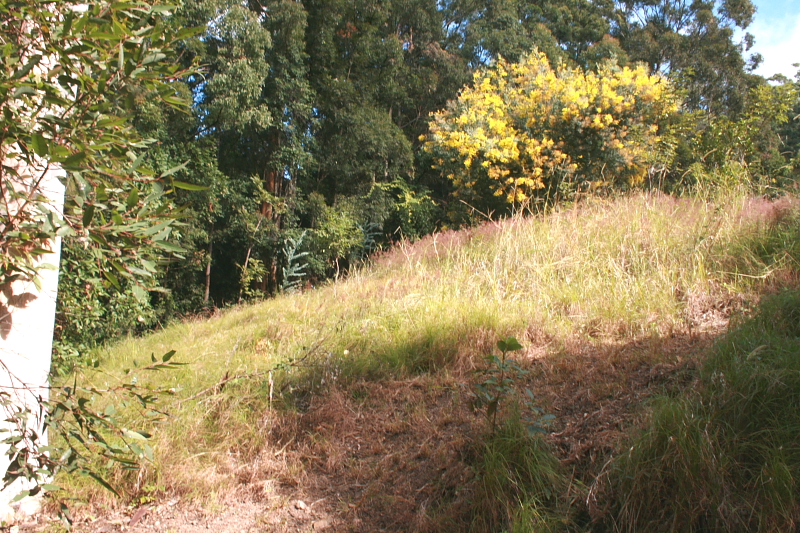 Hidden Treasure. Picture 2