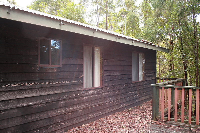 Hidden Treasure. Picture 1