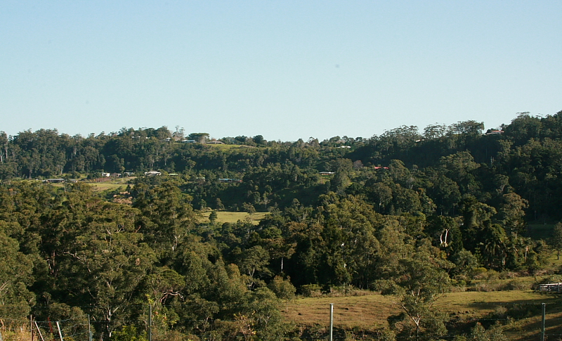 Potential plus In North Tamborine Picture 2