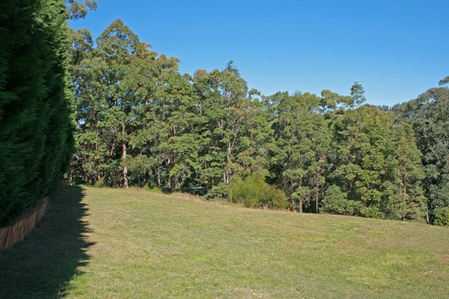 1541m2 Block North Tamborine. Picture 3