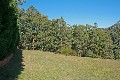 1541m2 Block North Tamborine. Picture