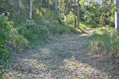 Mount Tamborine, 3931m2 block with views. Picture