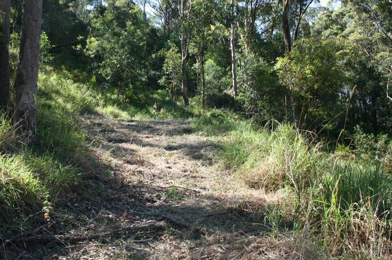 Mount Tamborine, 3931m2 block with views. Picture 2