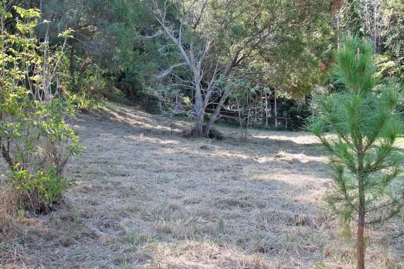 Mount Tamborine, 3931m2 block with views. Picture 3