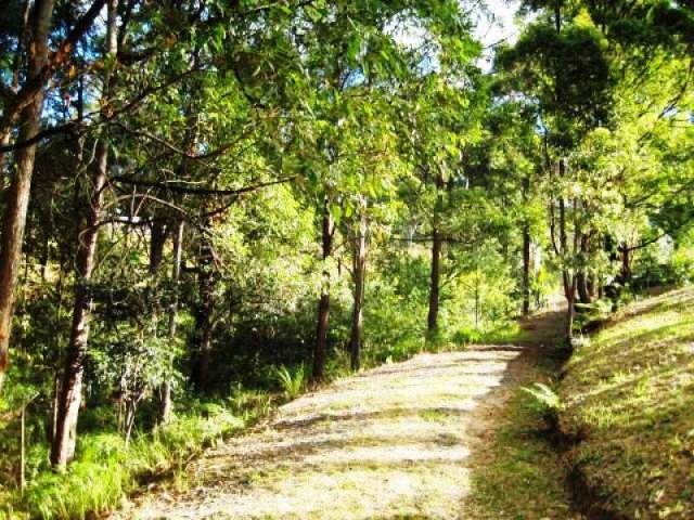 SECLUDED ONE ACRE RURAL BLOCK WITH VIEWS - Picture 3