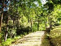SECLUDED ONE ACRE RURAL BLOCK WITH VIEWS - Picture