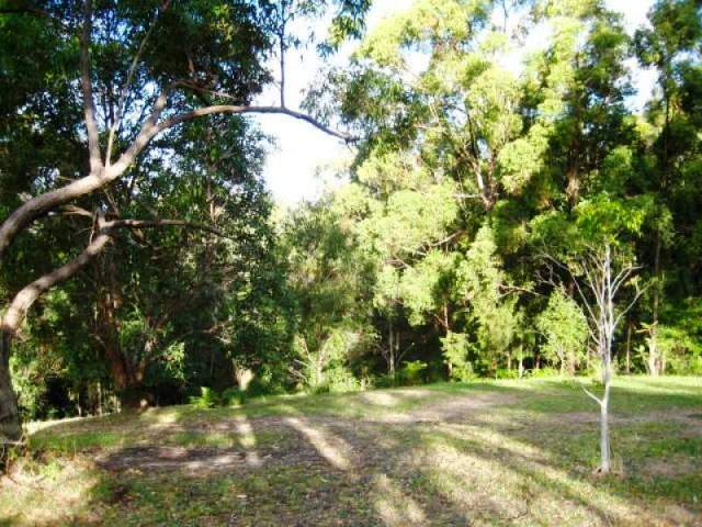 SECLUDED ONE ACRE RURAL BLOCK WITH VIEWS - Picture 1
