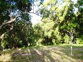 SECLUDED ONE ACRE RURAL BLOCK WITH VIEWS - Picture