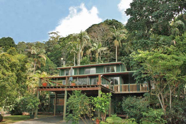 Rainforest Retreat in North Tamborine Picture 1