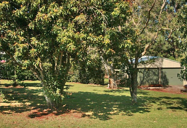 IMMACULATE FAMILY HOME ON HALF AN ACRE Picture 3