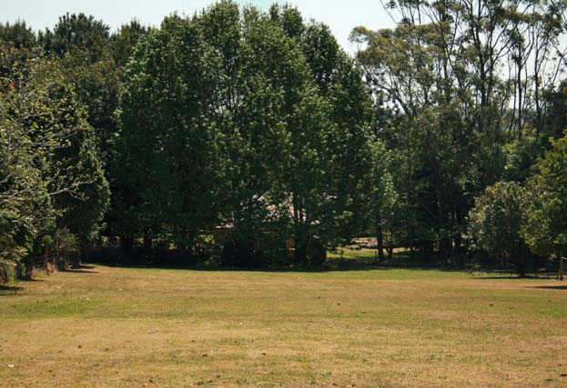 READY TO GO Picture 2