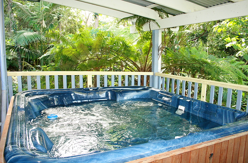 Classic Fully Renovated Queenslander Picture 2