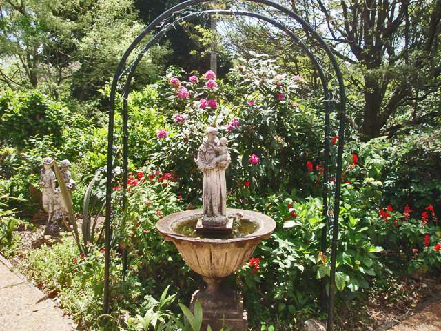 Gardener's Dream, With a touch of the Mediterranean Picture 1