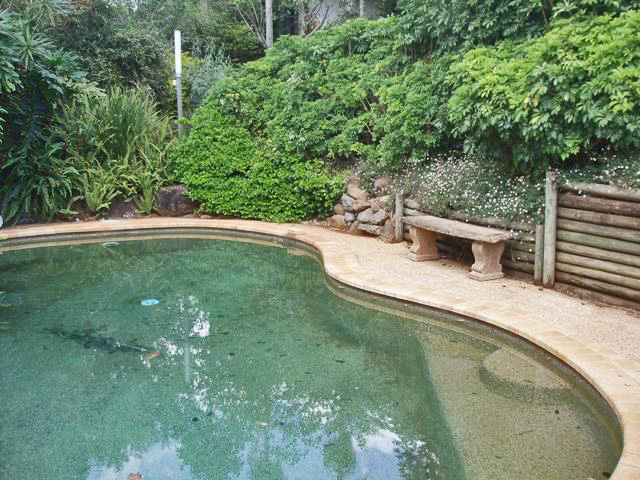 Gardener's Dream, With a touch of the Mediterranean Picture 3