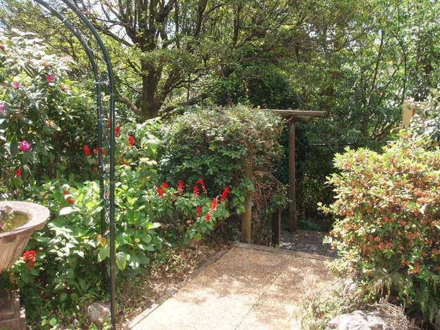 Gardener's Dream, With a touch of the Mediterranean Picture 2