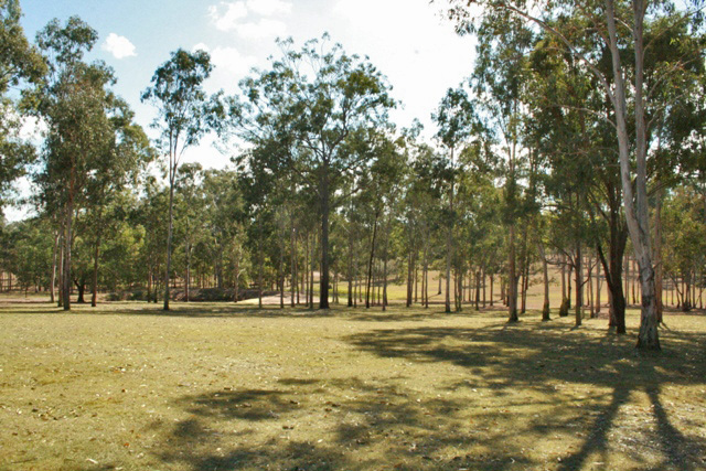 Hobby Farm with the Lot Picture 2