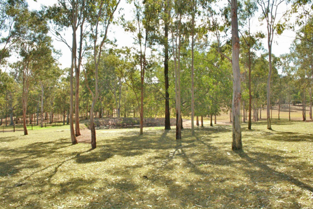 Hobby Farm with the Lot Picture 3