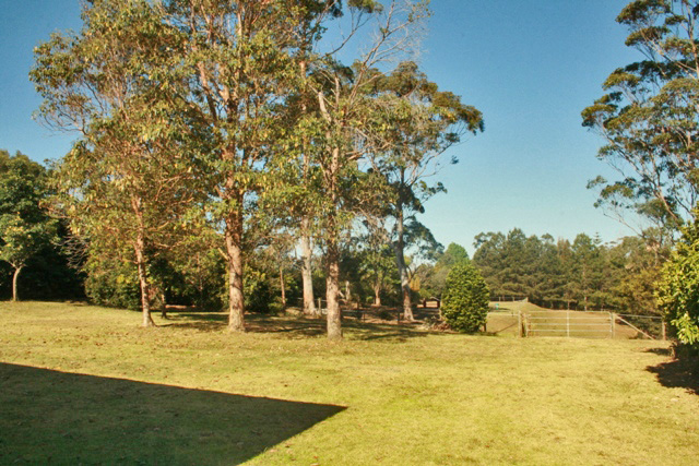 Horse Lovers Paradise. Picture 1