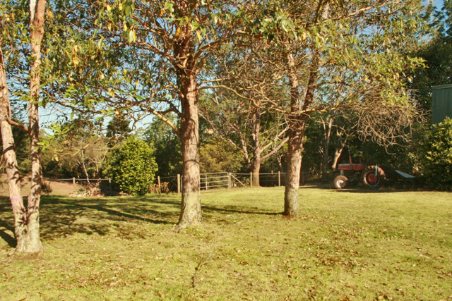 Horse Lovers Paradise. Picture 3