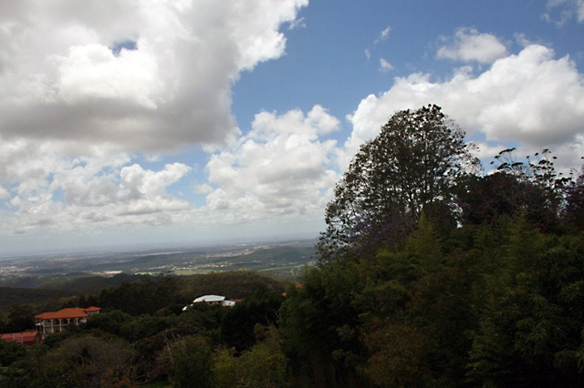 Cranberry House (Circa 1947) on Tamborine Mountain Picture 3
