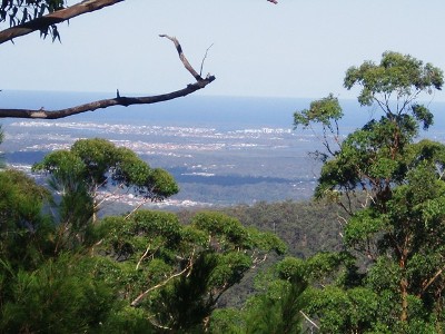 Enjoy spectacular views & native birdlife Picture