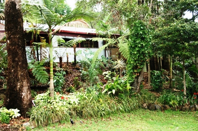 Close to Botanical Gardens Picture 1