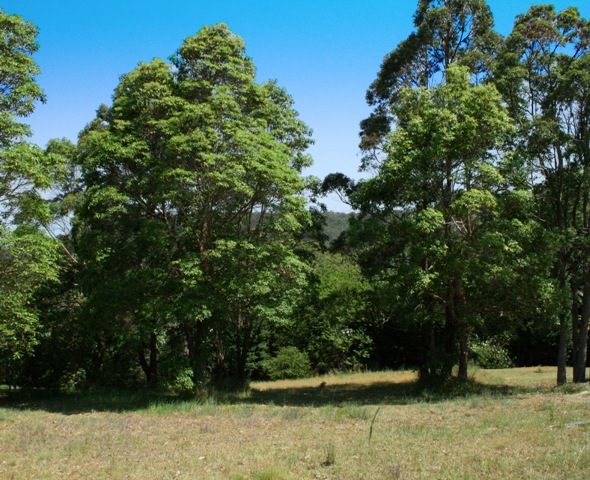 WHAT AN OPPORTUNITY! Picture 1