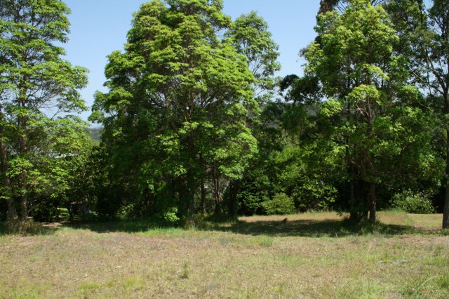 WHAT AN OPPORTUNITY! Picture 2