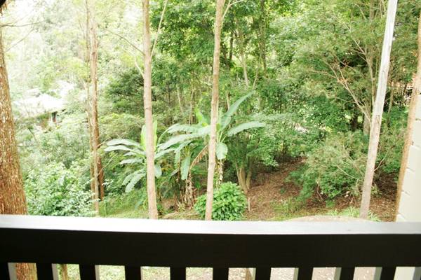 ABSOLUTELY STUNNING Picture 3