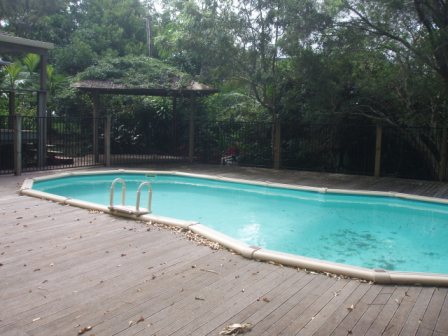 Views over the Scenic Rim Picture 2